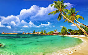 Andaman Tour Packages From Chennai