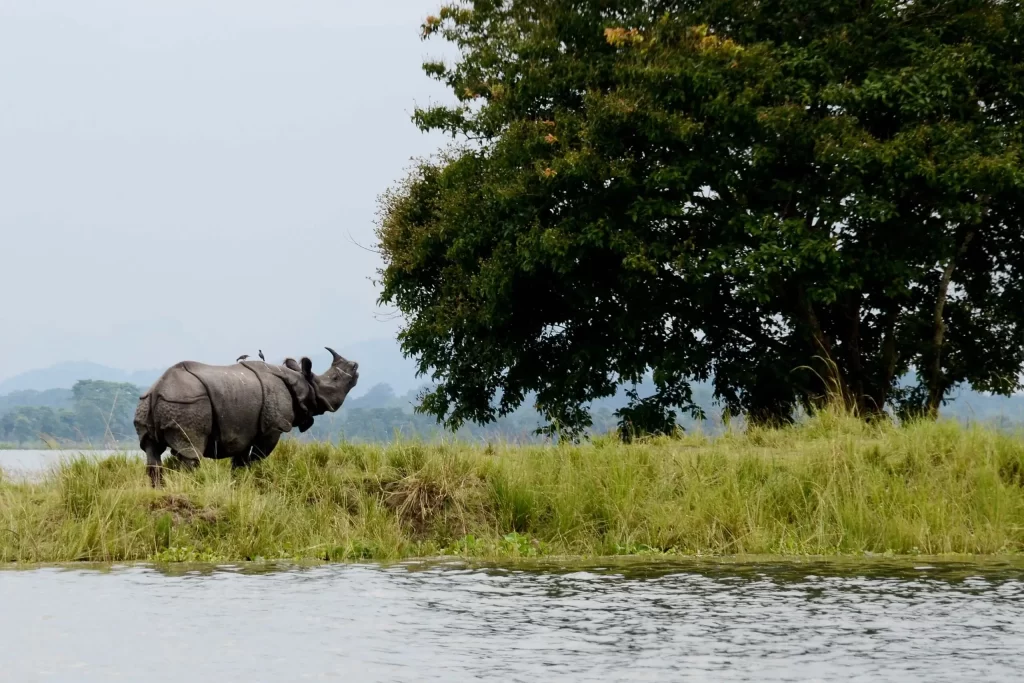 Arunachal Pradesh Tour Packages for Couple
