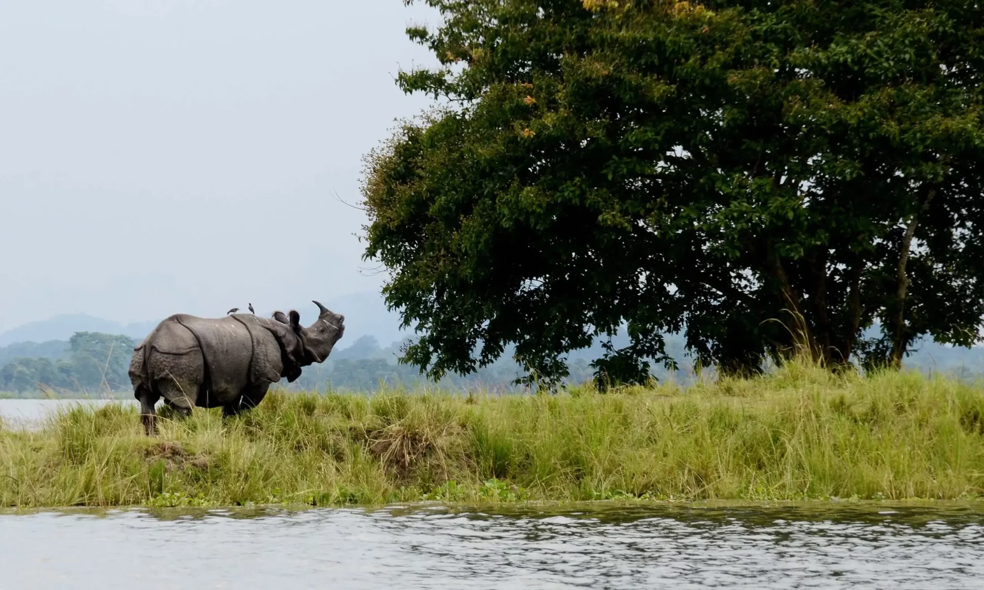 Arunachal Pradesh Tour Packages for Couple