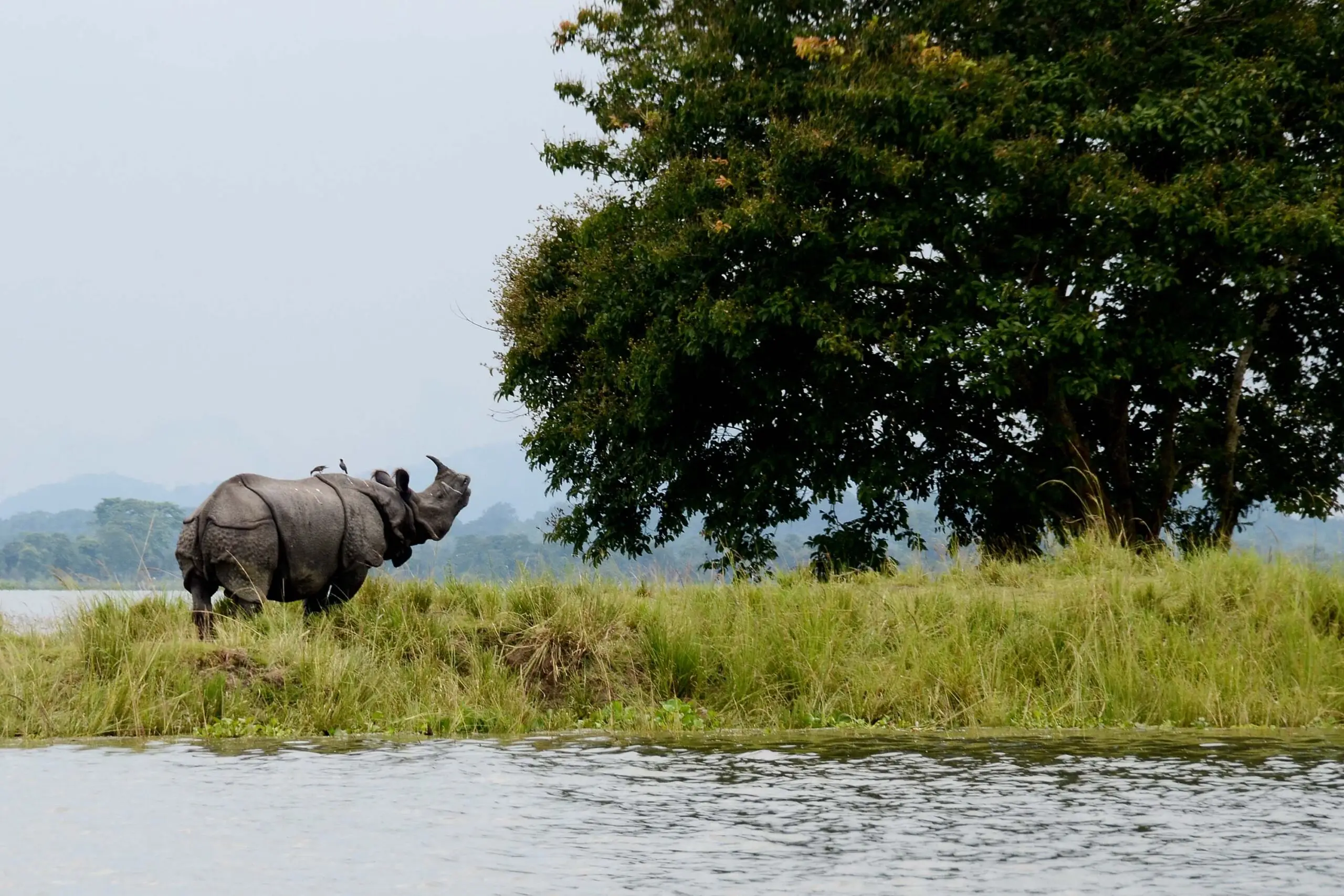 Arunachal Pradesh Tour Packages for Couple