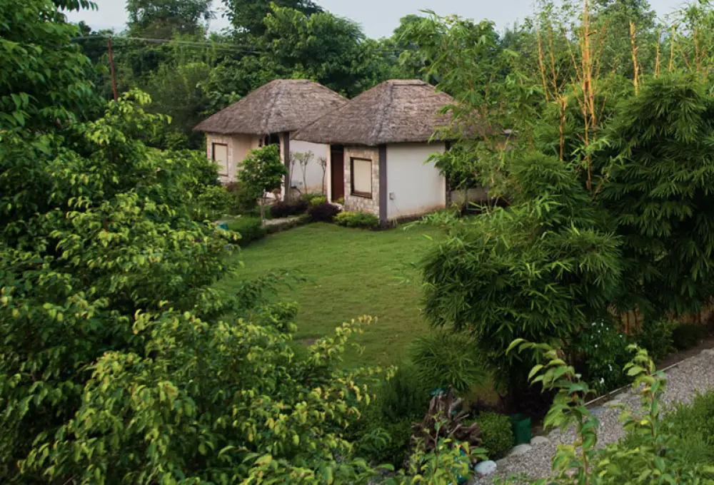 Jim Corbett tour packages from Delhi