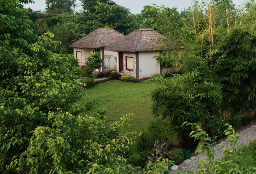 Jim Corbett tour packages from Delhi