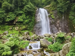 Tirthan valley tour packages for couple