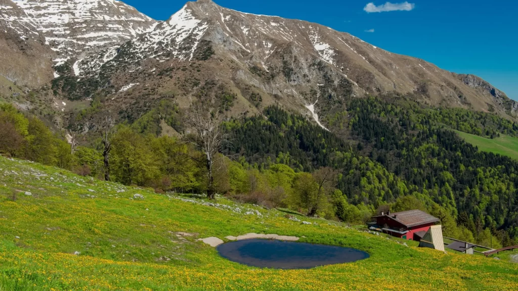Auli Tour Packages From Delhi