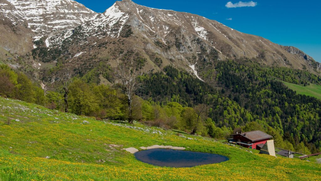 auli tour packages from delhi