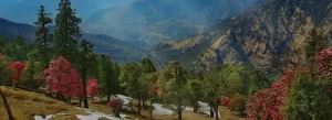 Uttarakhand Tour Packages Itinerary